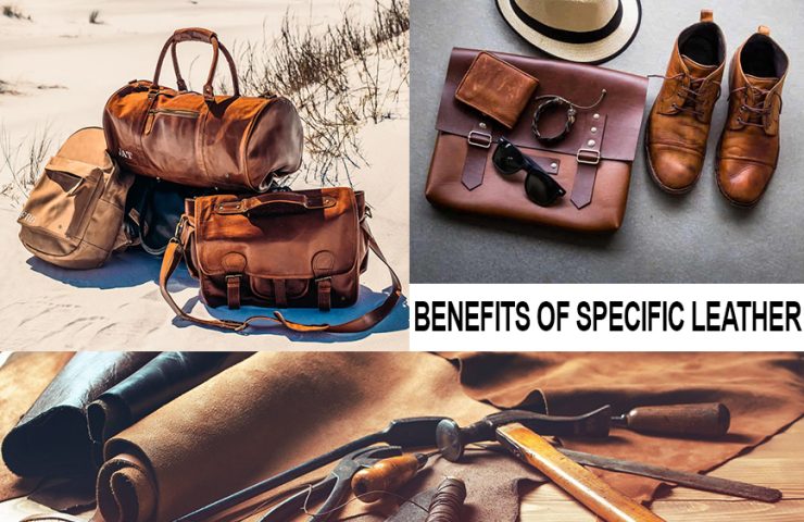 870 X 563 LEATHER IS BEST FOR WHICH PRODUCT CATEGORIES BLOG